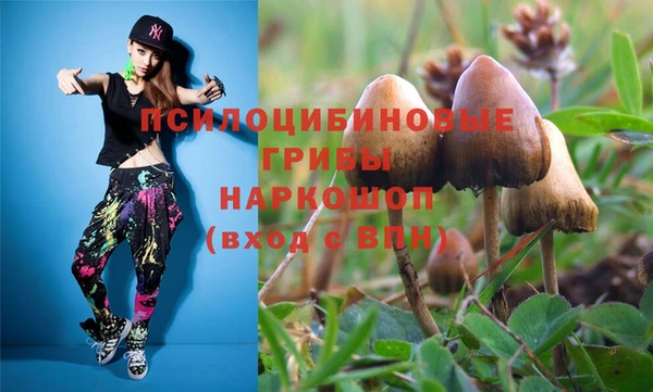 синтетический гашиш Медвежьегорск
