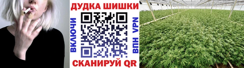 Купить  Староминская  Марихуана индика 